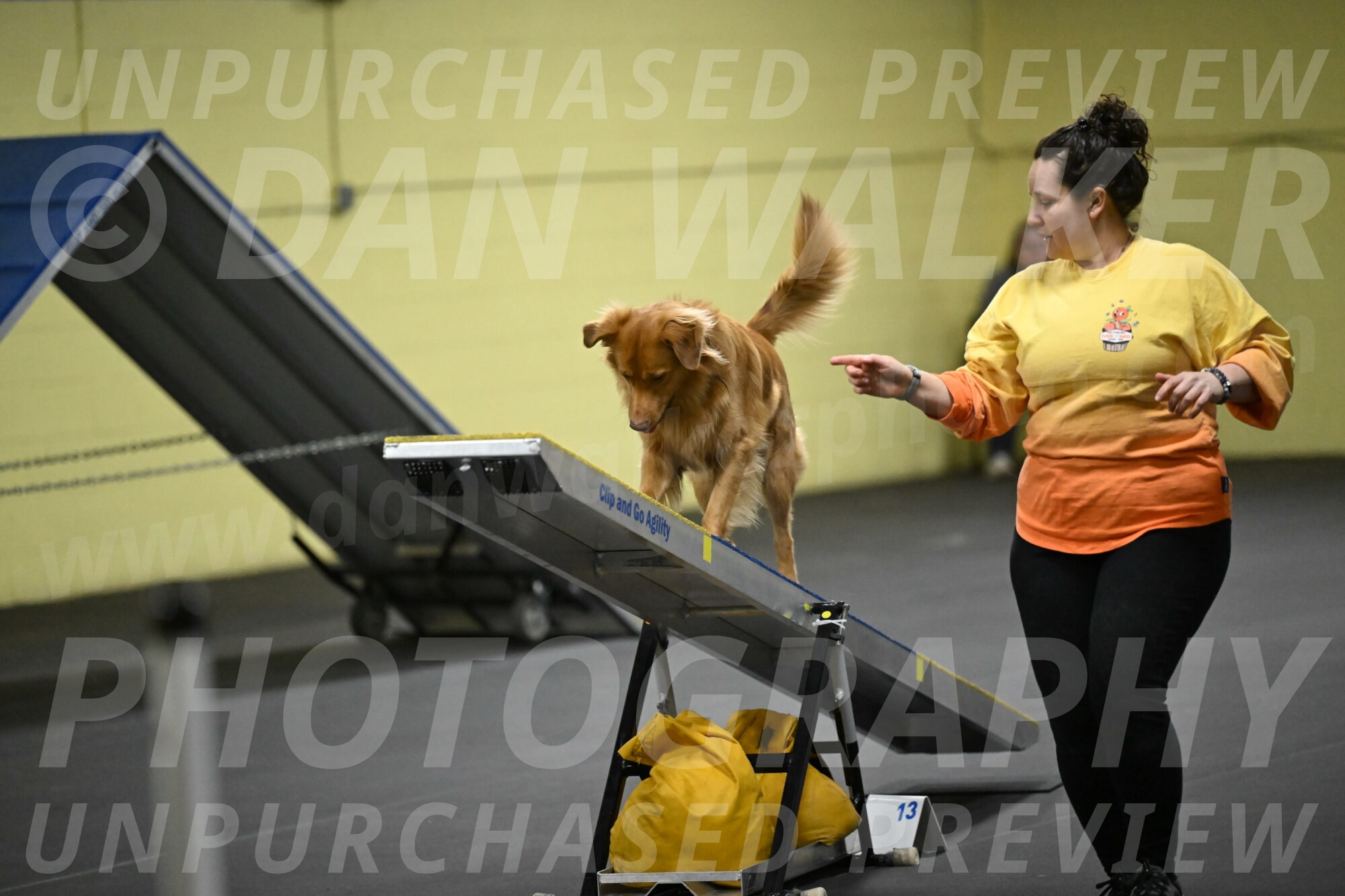 Zippity-Nemeth-12627