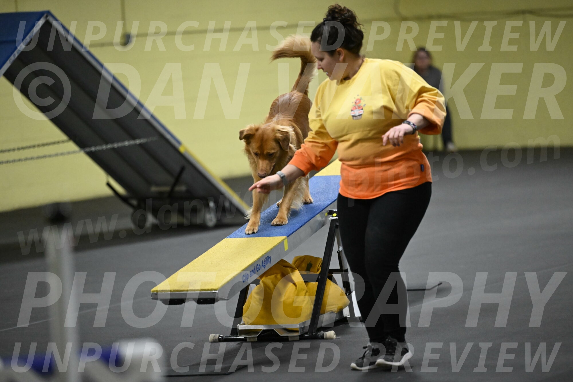 Zippity-Nemeth-12630