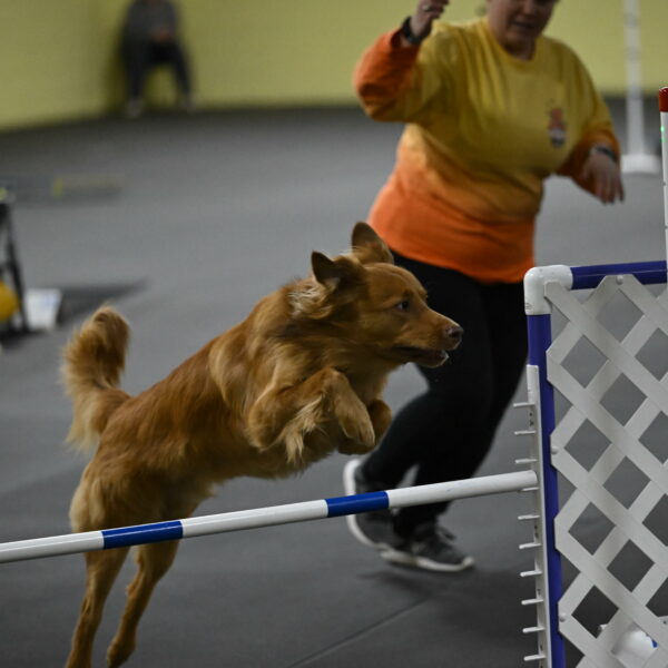 Zippity-Nemeth-12636