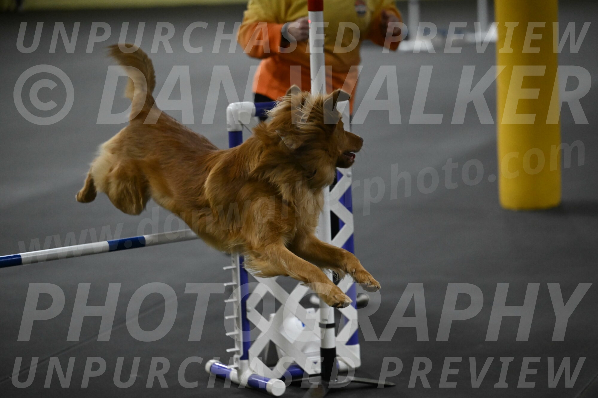 Zippity-Nemeth-12639