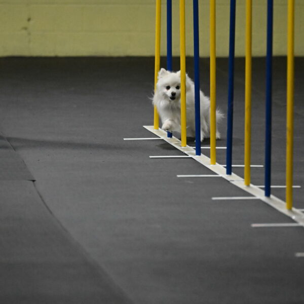 Zoey-Schneider-14411