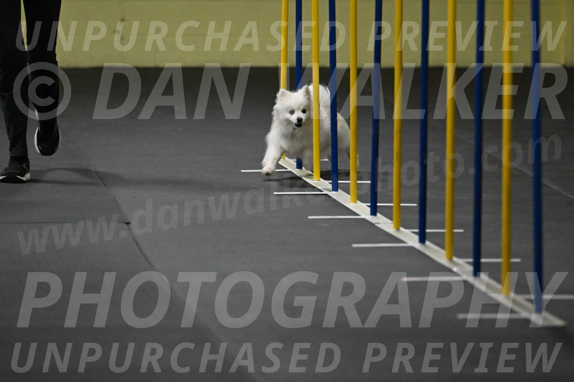 Zoey-Schneider-14412