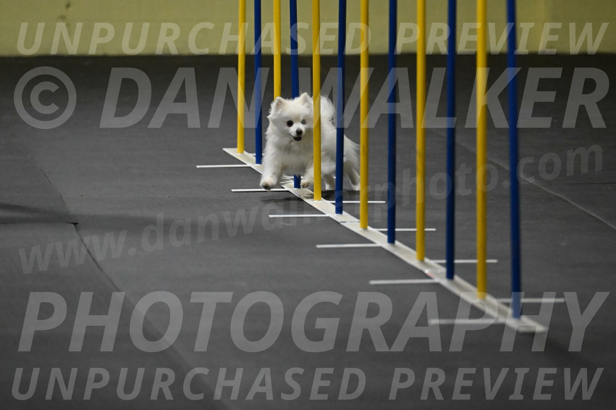 Zoey-Schneider-14417