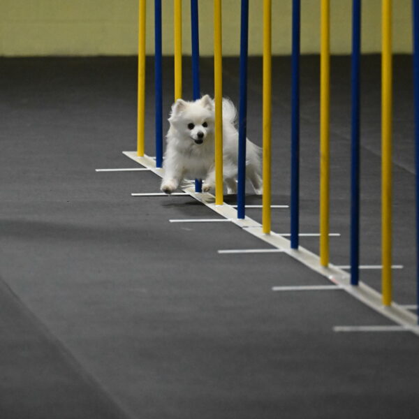 Zoey-Schneider-14417