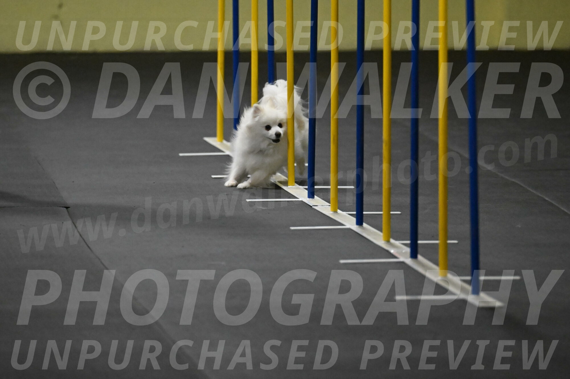 Zoey-Schneider-14418