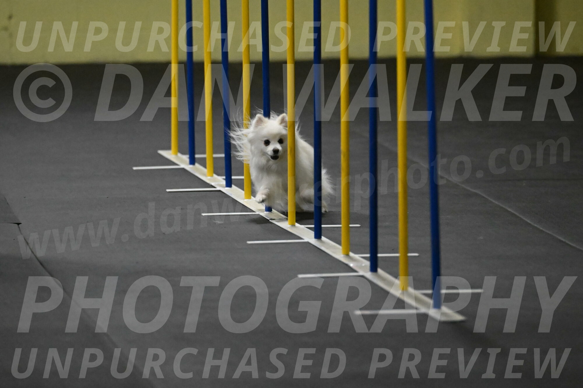 Zoey-Schneider-14422