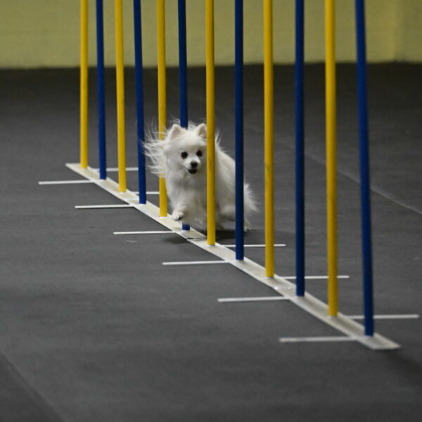 Zoey-Schneider-14422