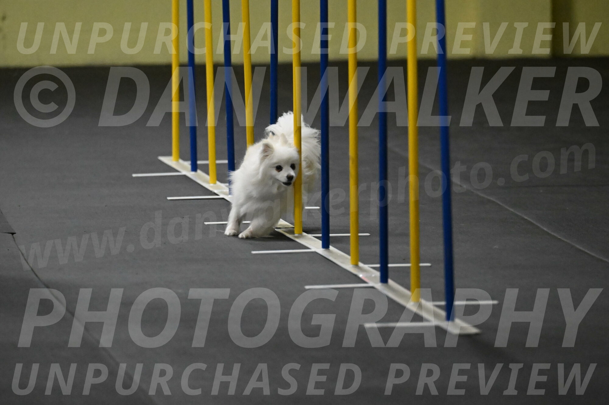 Zoey-Schneider-14423