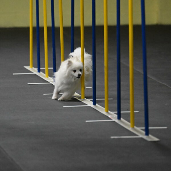 Zoey-Schneider-14423