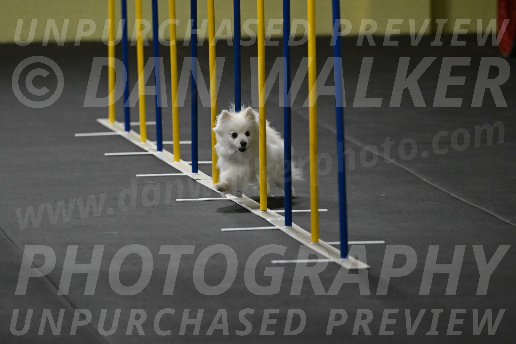 Zoey-Schneider-14427