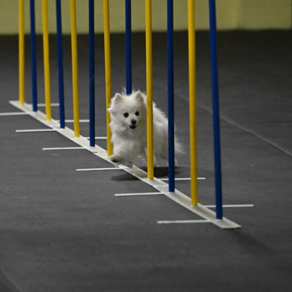 Zoey-Schneider-14427