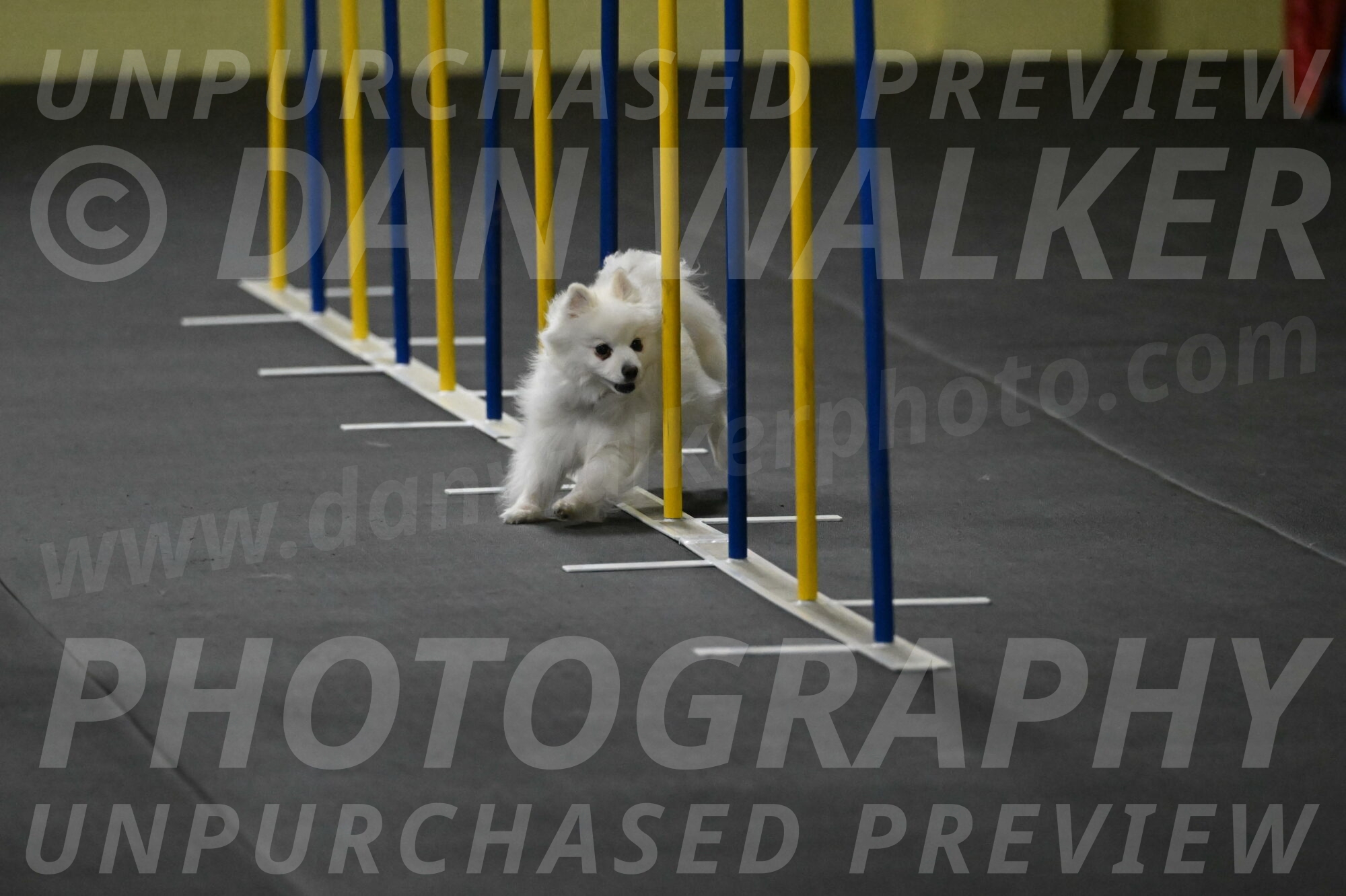 Zoey-Schneider-14428