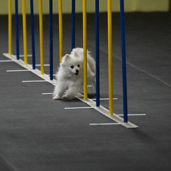 Zoey-Schneider-14428