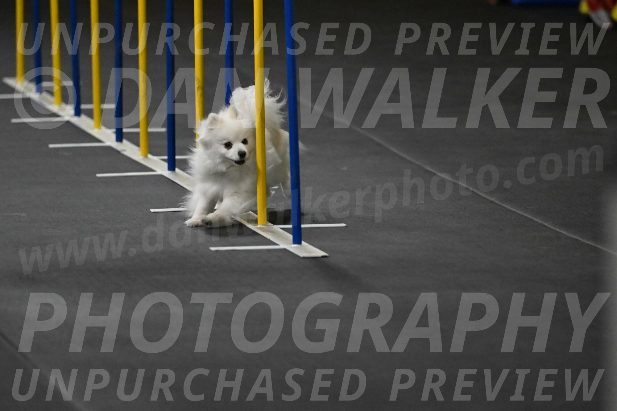 Zoey-Schneider-14433