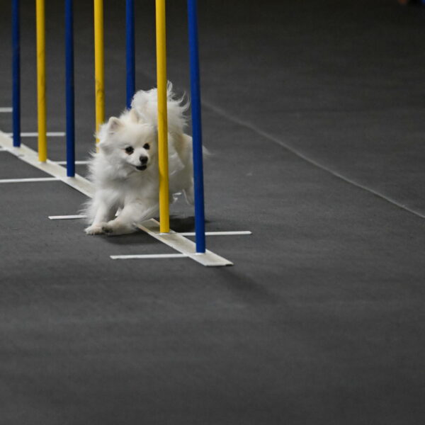 Zoey-Schneider-14433