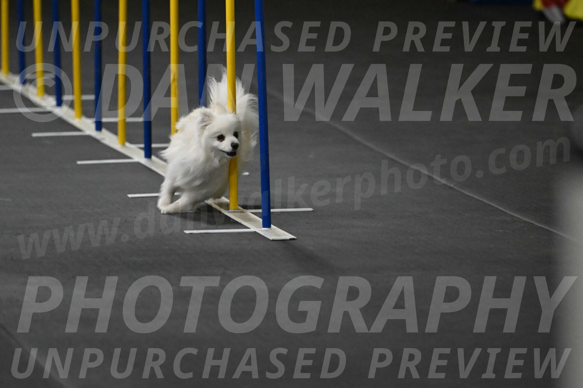 Zoey-Schneider-14434