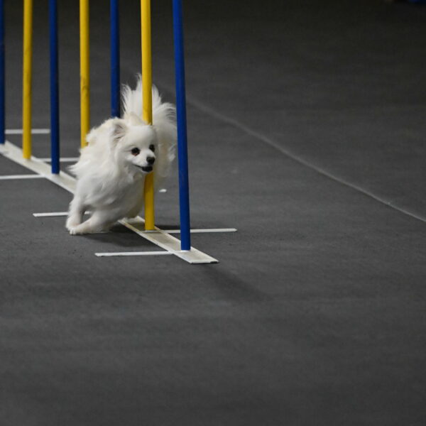 Zoey-Schneider-14434