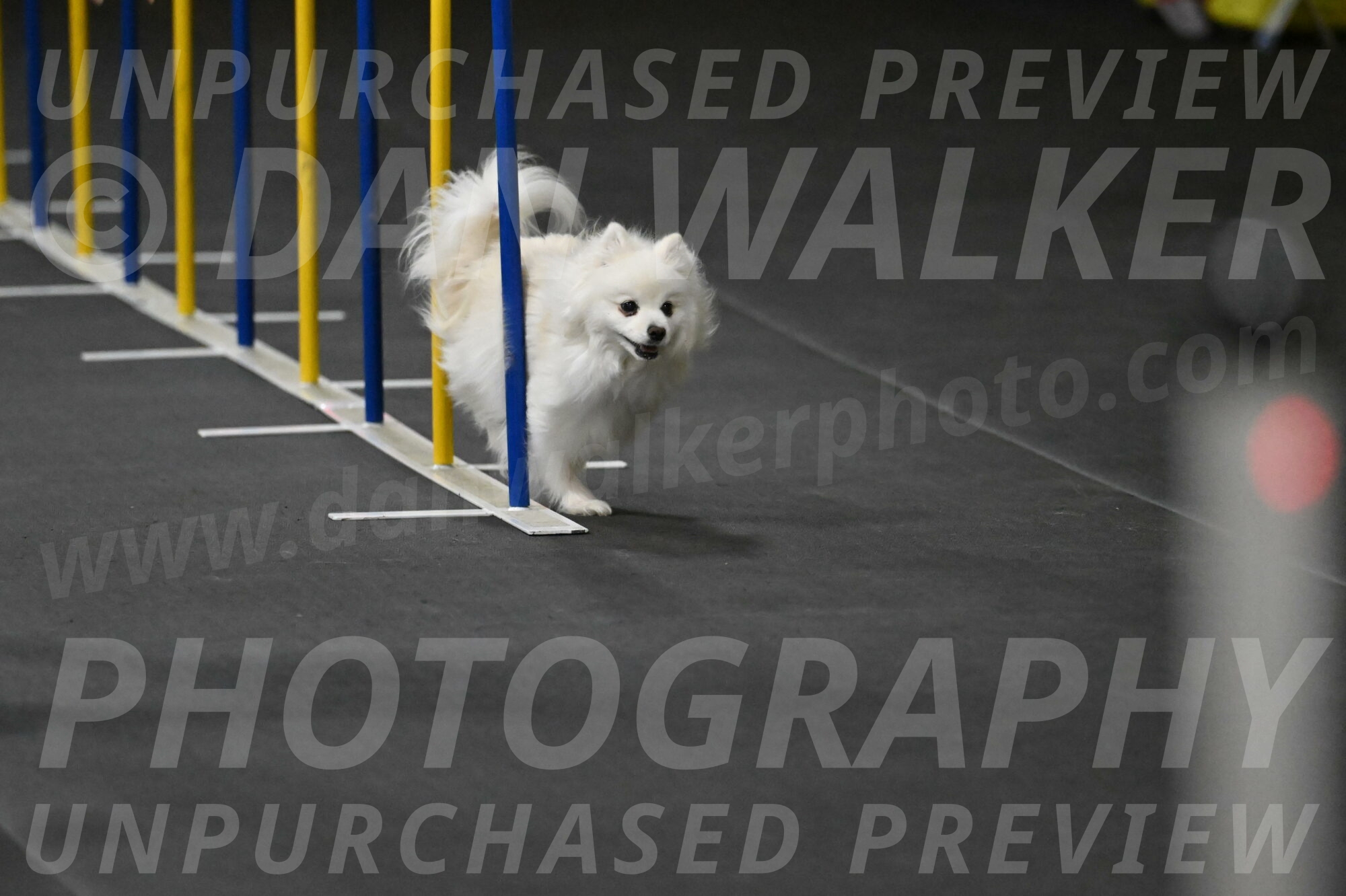 Zoey-Schneider-14437