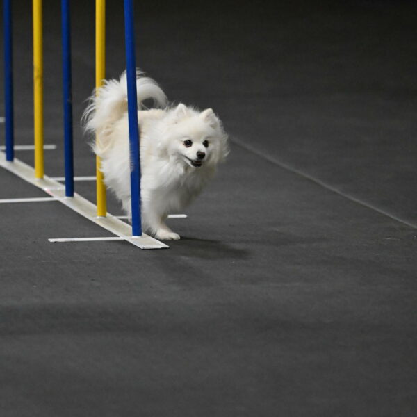 Zoey-Schneider-14437