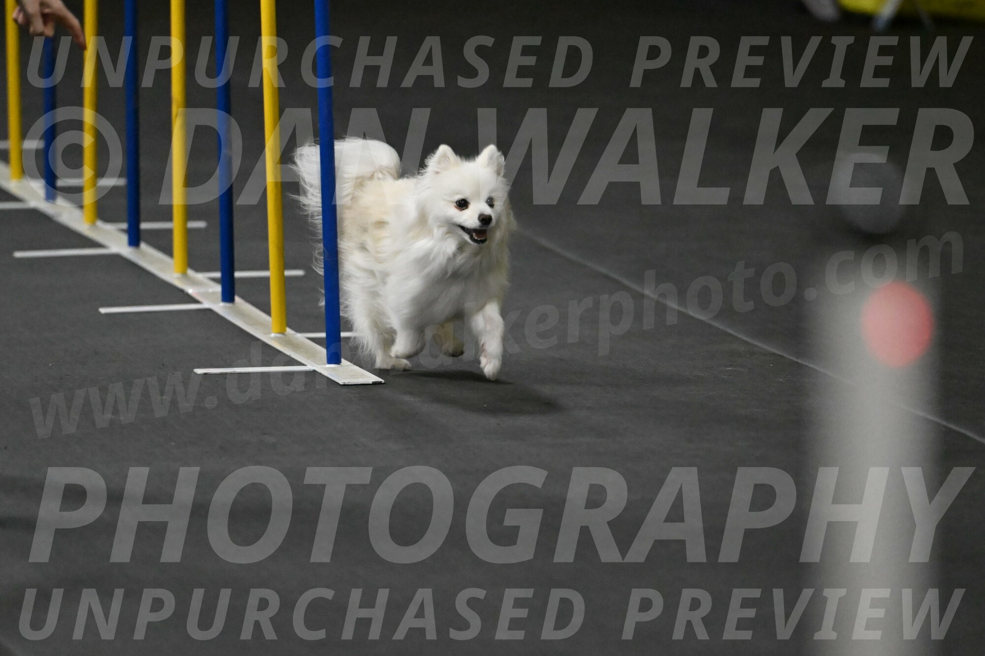 Zoey-Schneider-14438