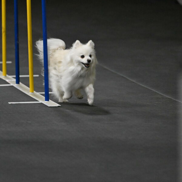 Zoey-Schneider-14438