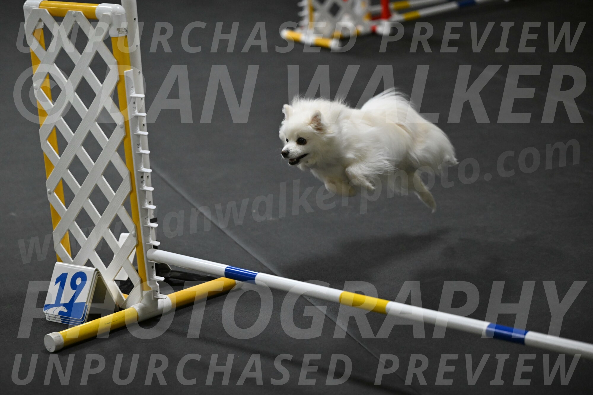 Zoey-Schneider-14451