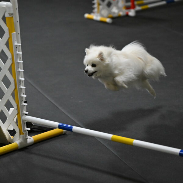 Zoey-Schneider-14451