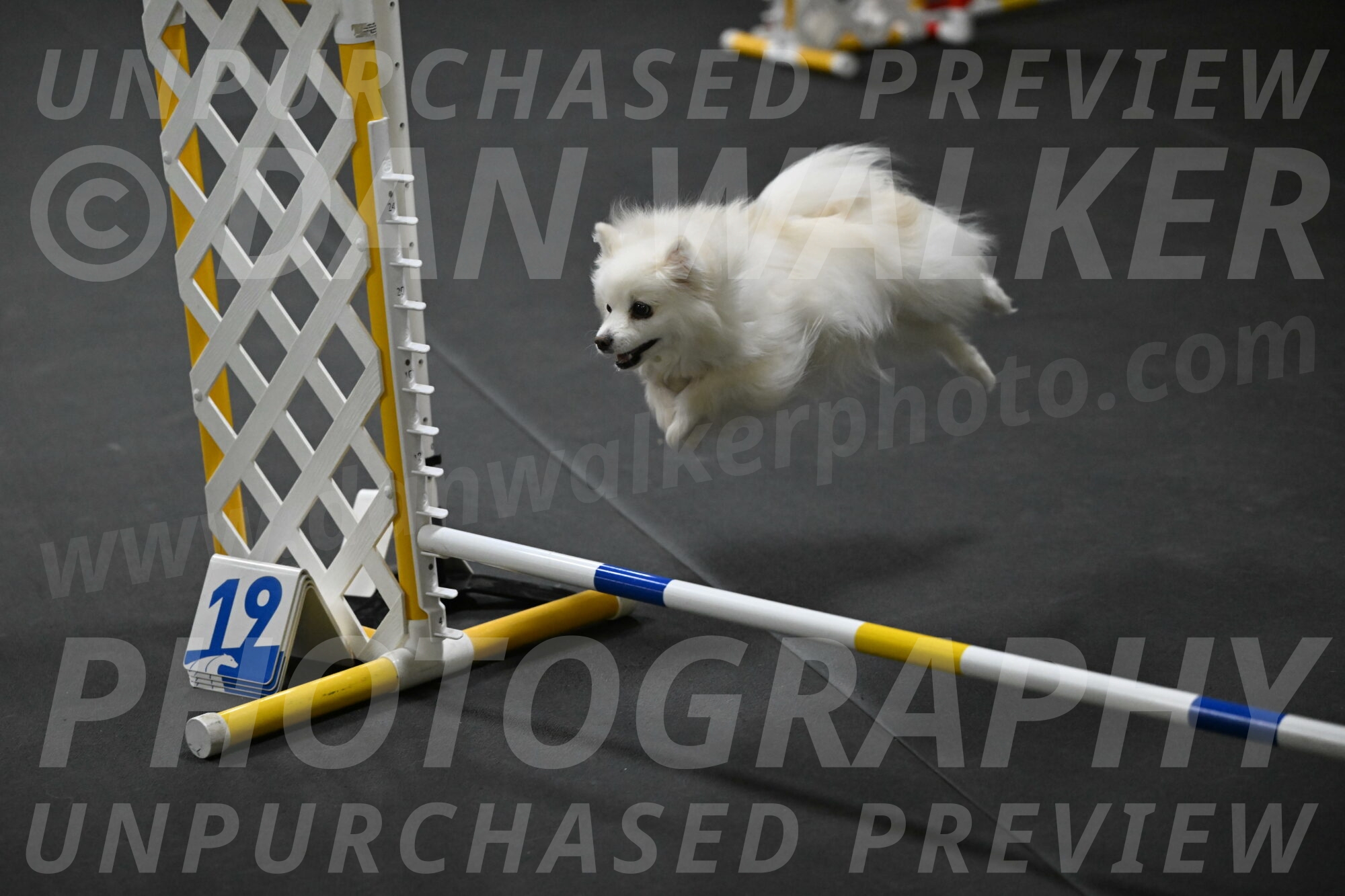 Zoey-Schneider-14452