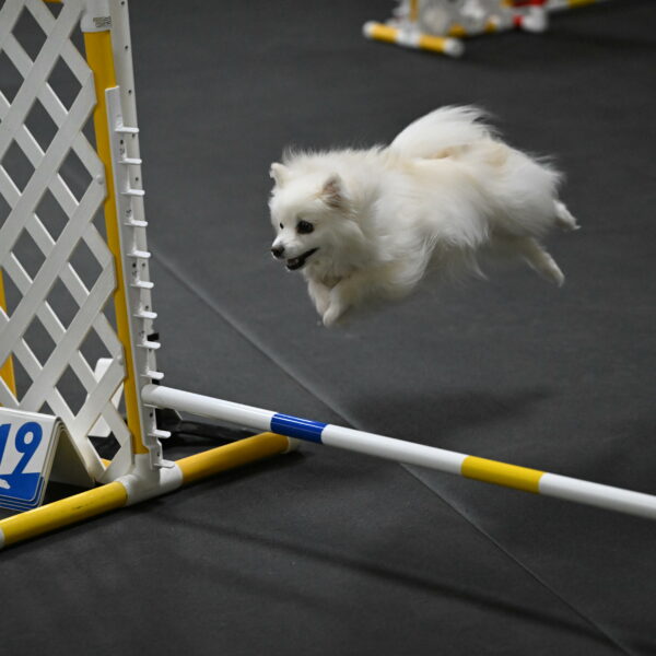 Zoey-Schneider-14452