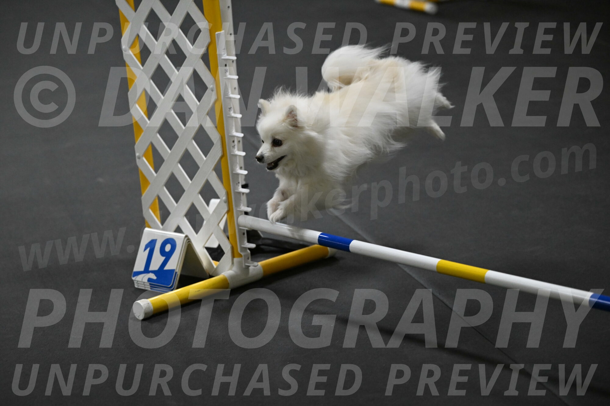 Zoey-Schneider-14453