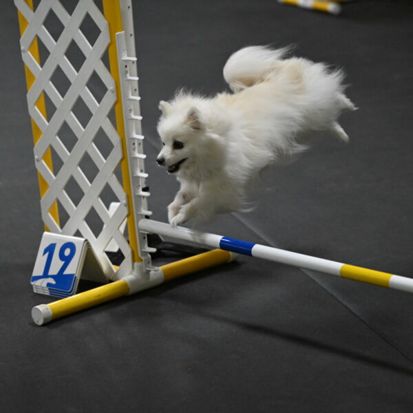 Zoey-Schneider-14453