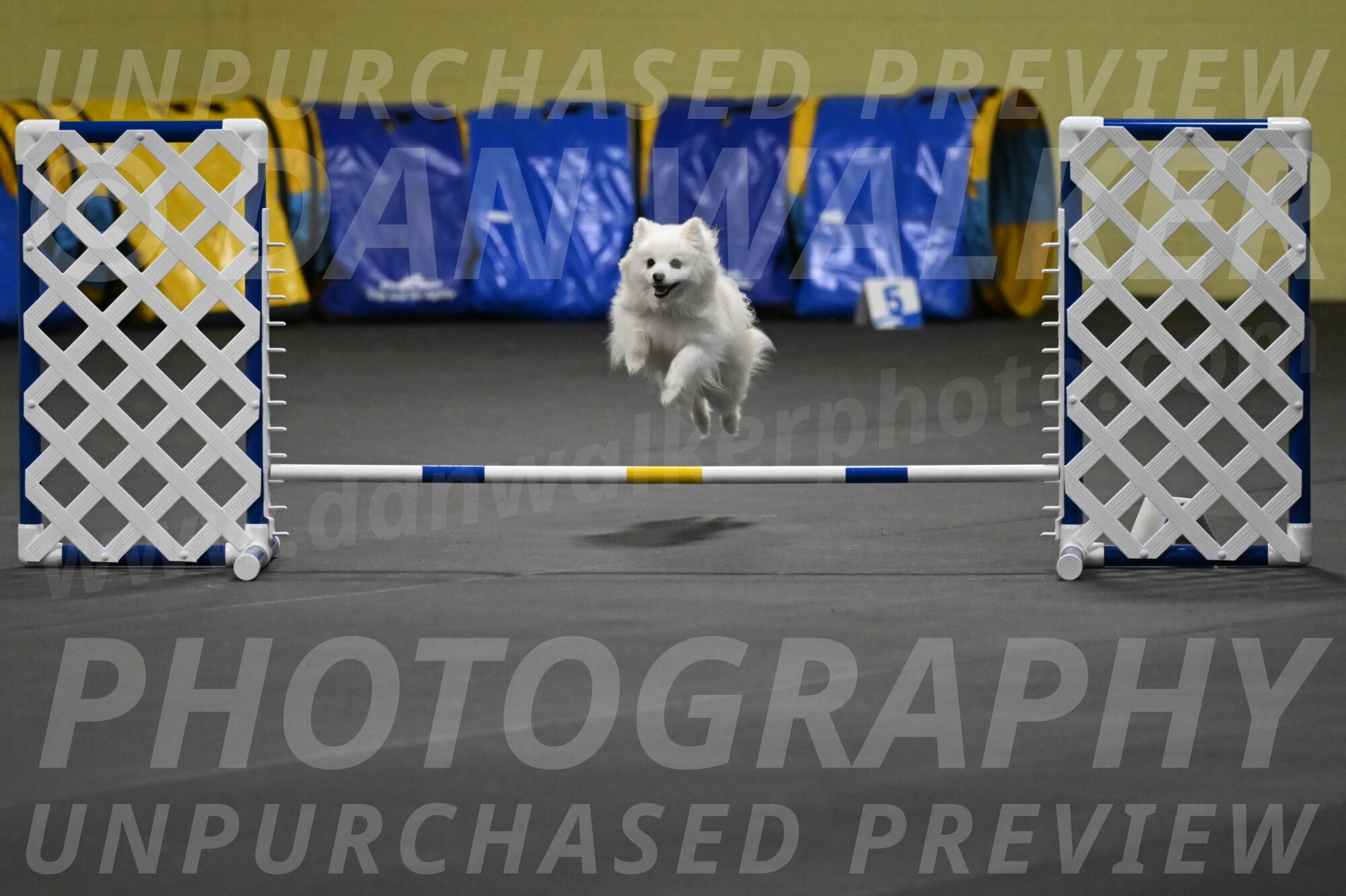 Zoey-Schneider-14456