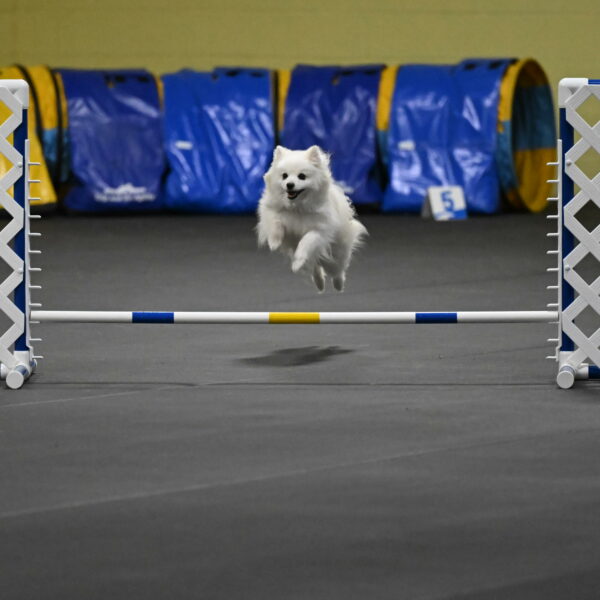 Zoey-Schneider-14456