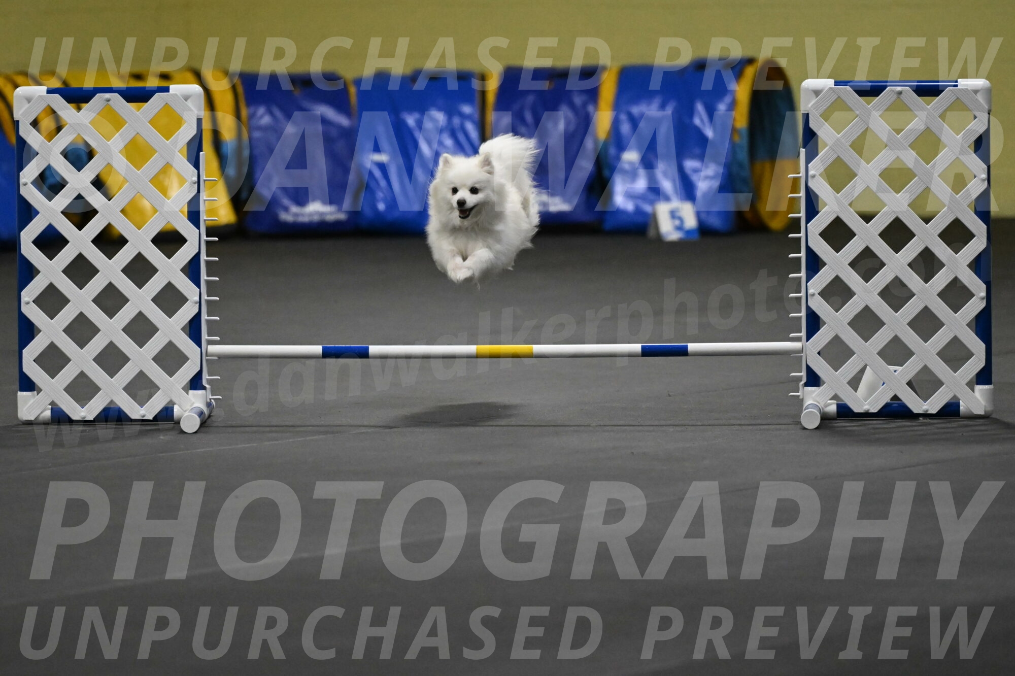 Zoey-Schneider-14457