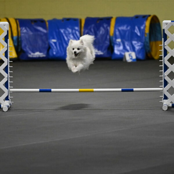 Zoey-Schneider-14457