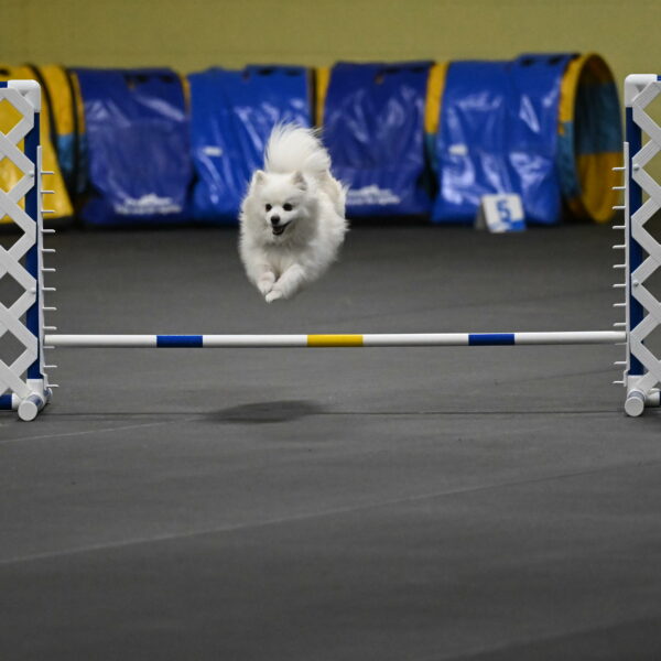 Zoey-Schneider-14458