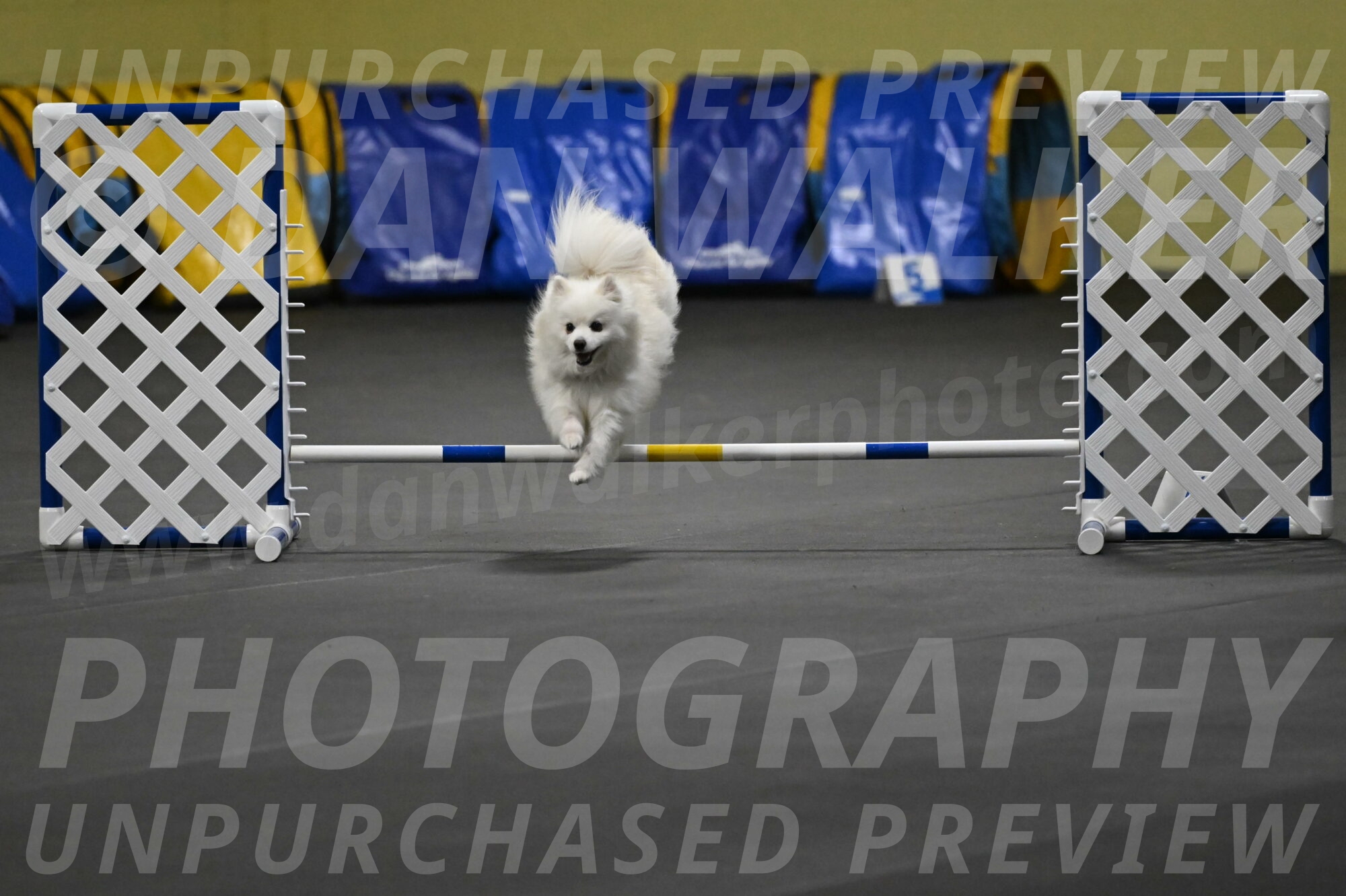 Zoey-Schneider-14459