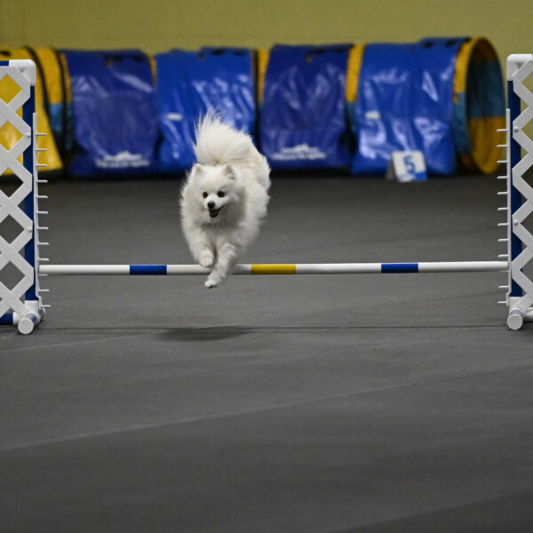 Zoey-Schneider-14459