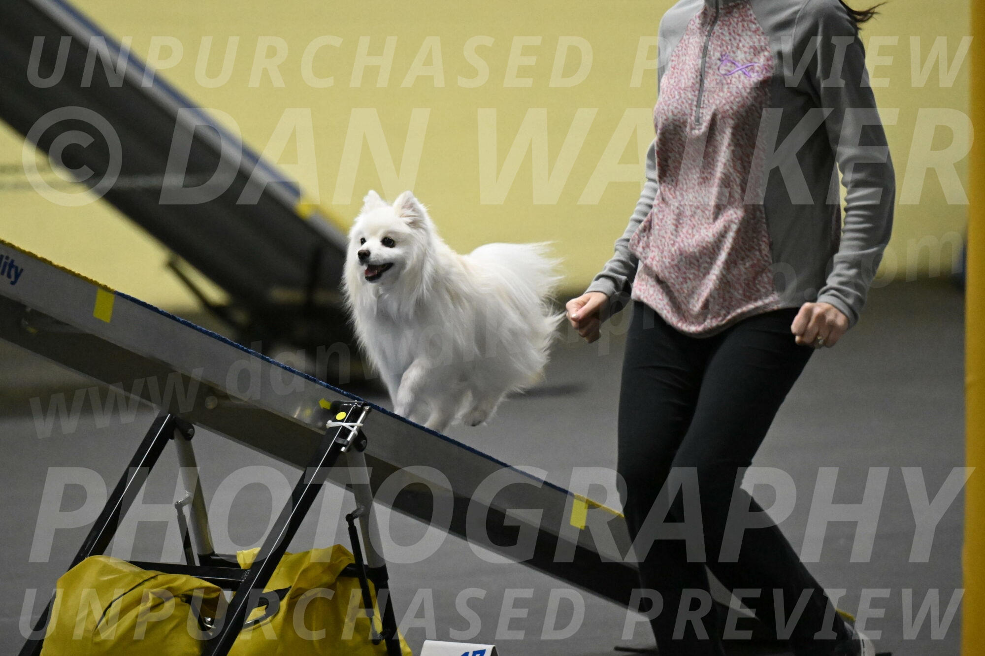 Zoey-Schneider-14462