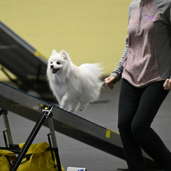 Zoey-Schneider-14462