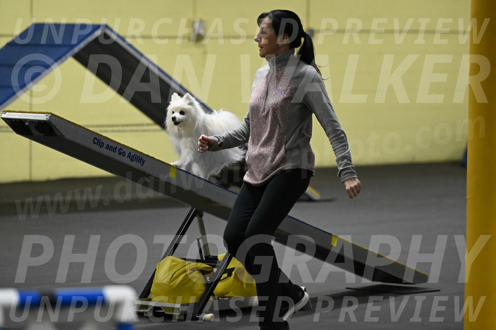 Zoey-Schneider-14465