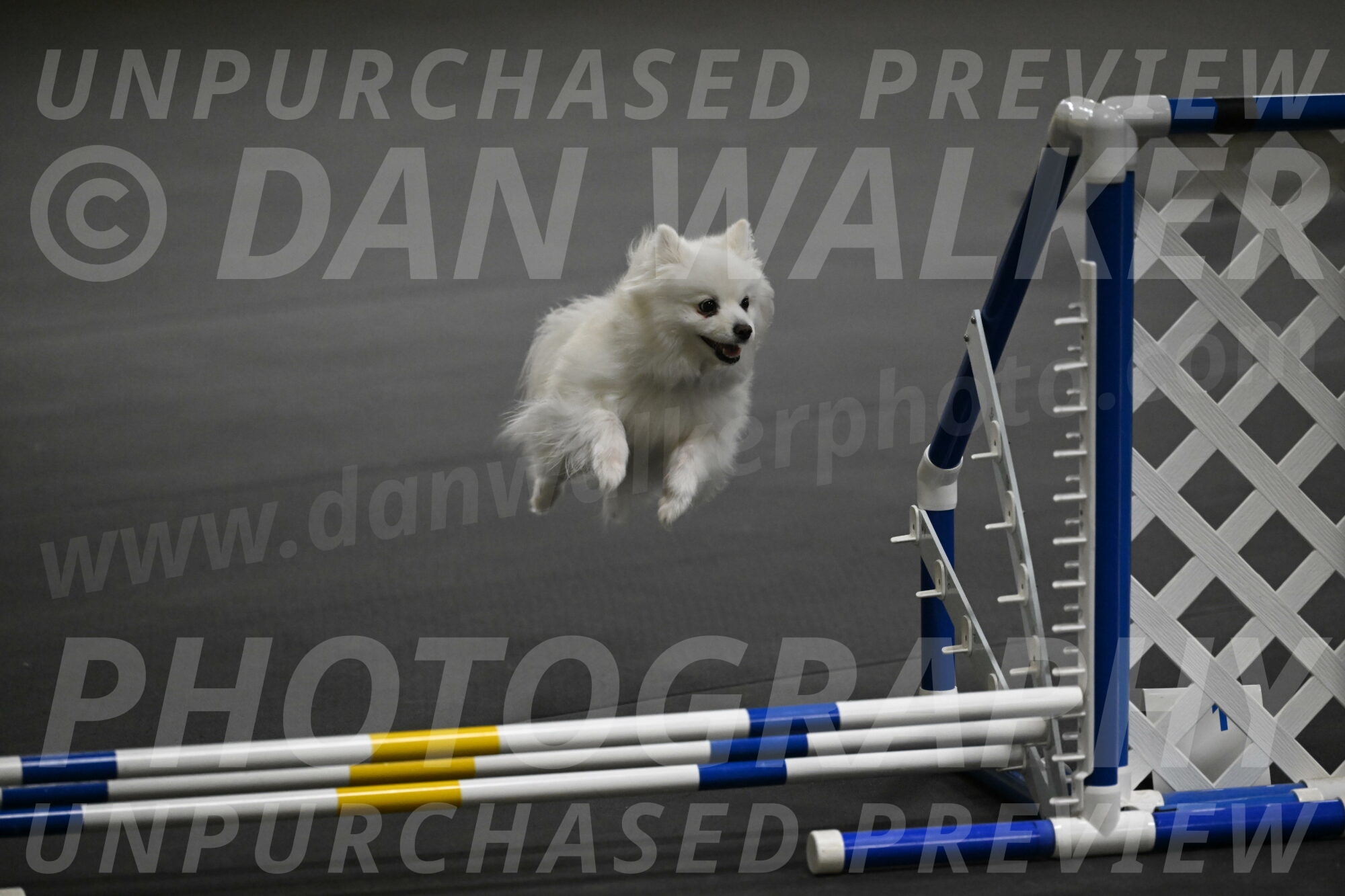 Zoey-Schneider-14473