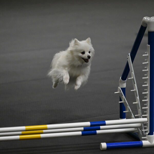 Zoey-Schneider-14473