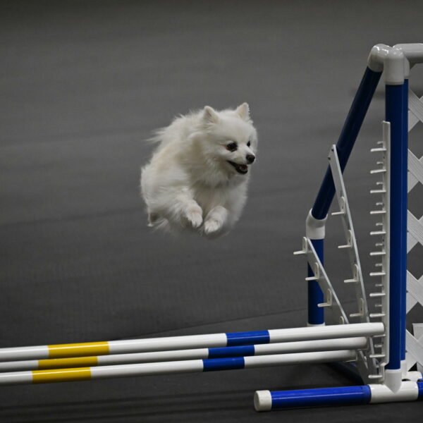 Zoey-Schneider-14474