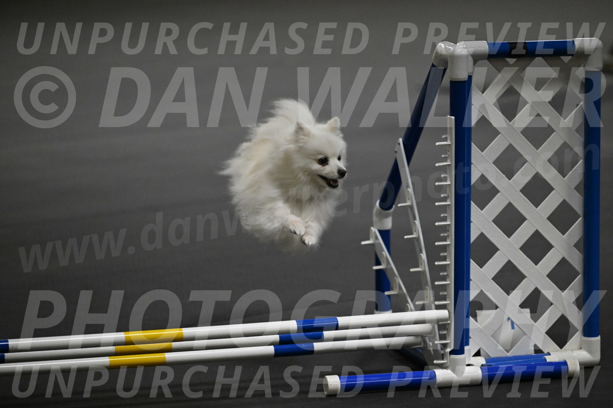 Zoey-Schneider-14475