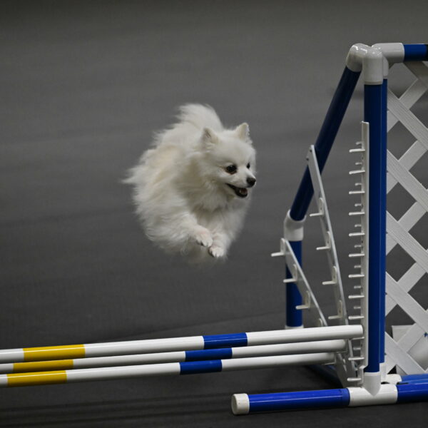 Zoey-Schneider-14475