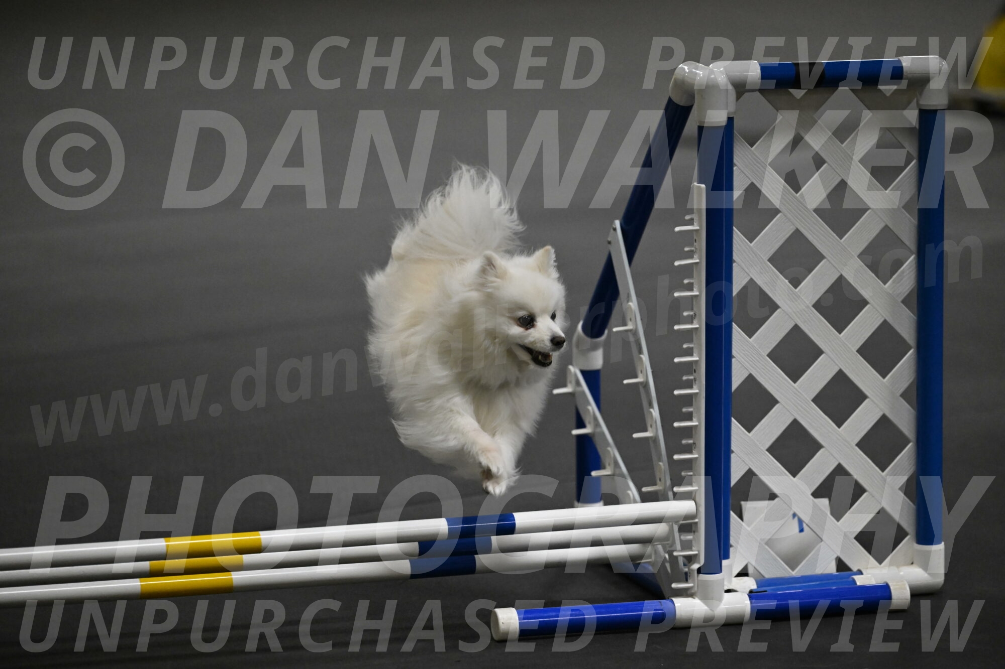 Zoey-Schneider-14476