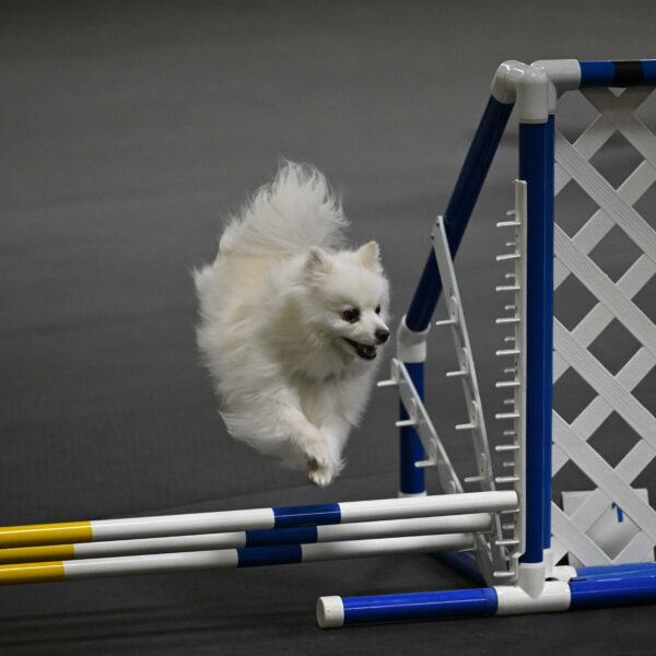 Zoey-Schneider-14476