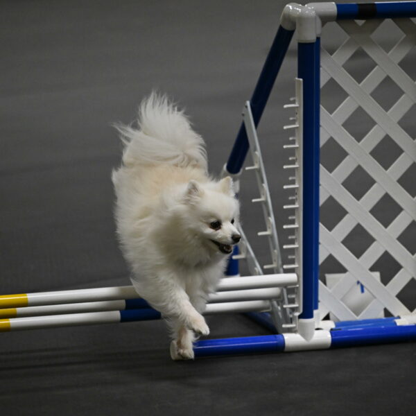 Zoey-Schneider-14477