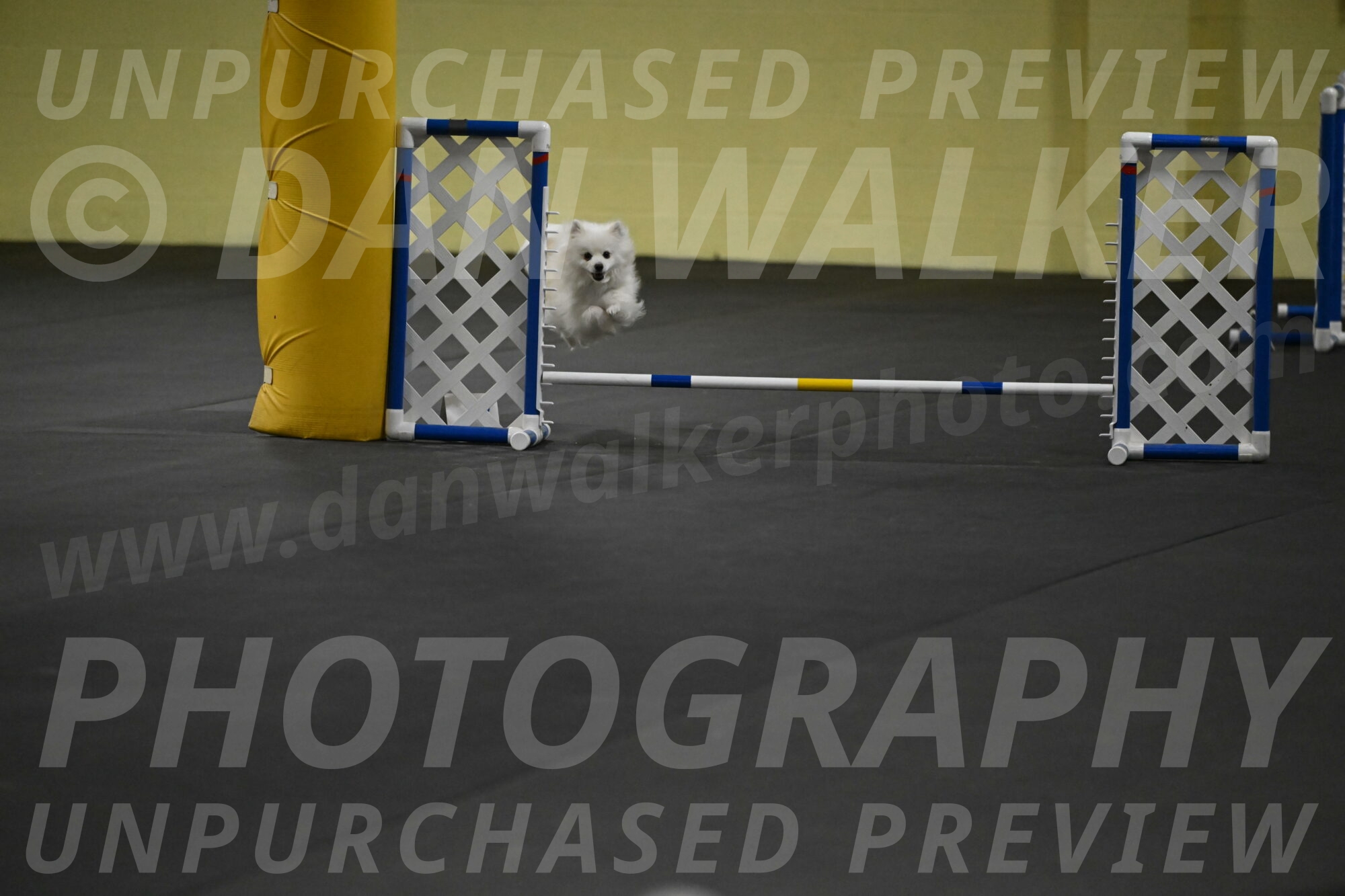 Zoey-Schneider-14480